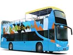 FunVee Open Top Bus