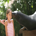 Dolphin Lagoon