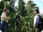 Organic Farm