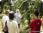 Fruit Farm
