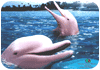 Book your Batam Packages now